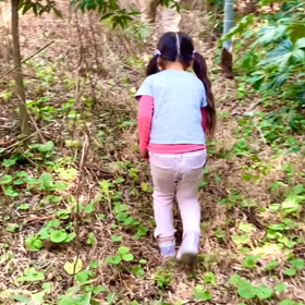 ふきのとうの画像