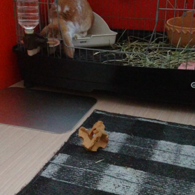 仕方ないなぁ～の画像