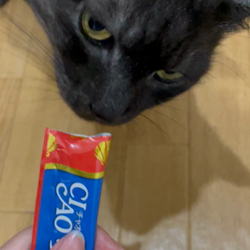 チュールの画像