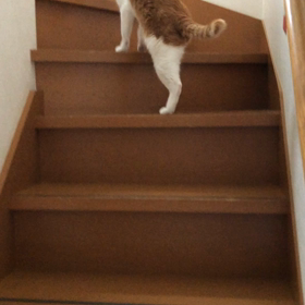 回復かなの画像