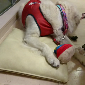 はむはむ～の画像