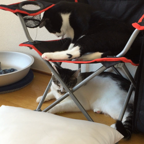 二階からちょびちょびの画像