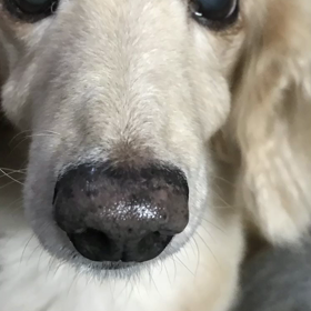 石神井公園ズンバ代行終了の画像