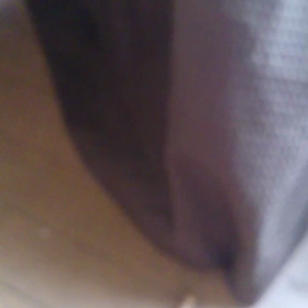 つい撮りましたの画像