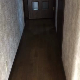 動画短めの画像