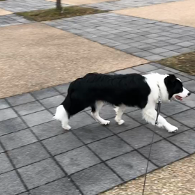 2018 4月生まれ お便りの画像