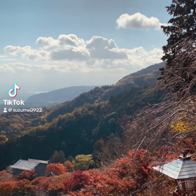 TikTok動画[善峯寺]の画像