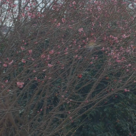 久しぶりの画像