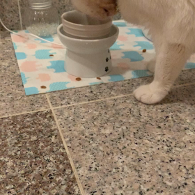 食べとる！満たされようとする男、すなわち、満男！の画像