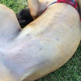 相変わらずの画像