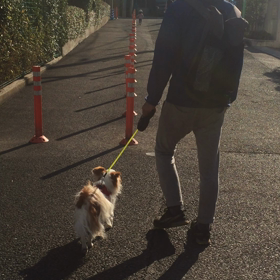 うちコ自慢の画像