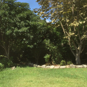 あなたに届けます♪にゃんこ特別出演の画像