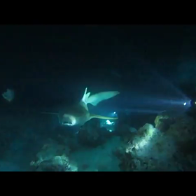 6月25日 あかんの画像