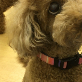 つれないなぁ。の画像