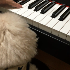 ミルキー先生の鬼レッスンの画像