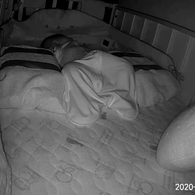 小粒ちゃんの1日のスケジュールの画像