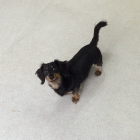 ♪プレイルーム動画♪②の画像