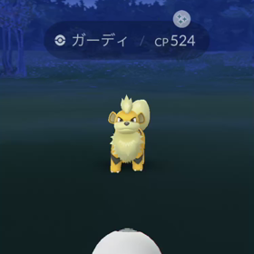 ガーディの色違いGET✨✨の画像