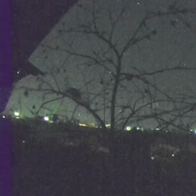 すぎぴたんの事件簿シーズン3　126話　（柿の木から屋根に登るのは、何もの？）の画像