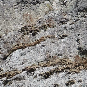 45番岩屋寺の画像