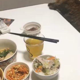 ちょこぼんと婿殿の画像