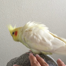 久々の指まくら♡の画像