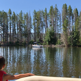 ムースの動画、見れましたでしょうか⁉️の画像