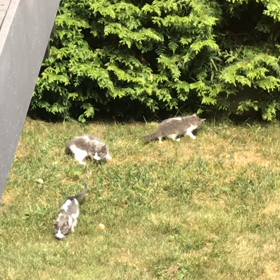 ダメだとはわかっていながらも、、、の画像