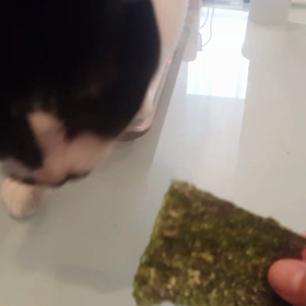 ココ丸ノリ海苔の画像
