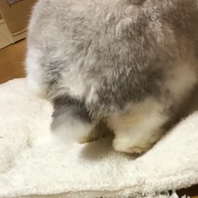 跳びますの画像