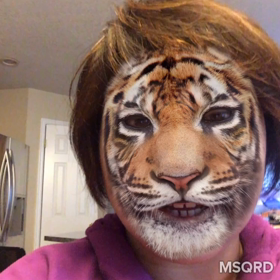 アホな親子の画像