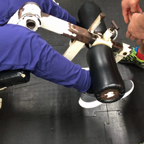 今夜はトレーニングの画像