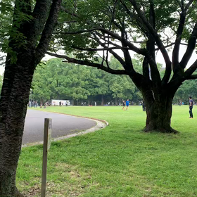 400インターバル中間点⑤の画像