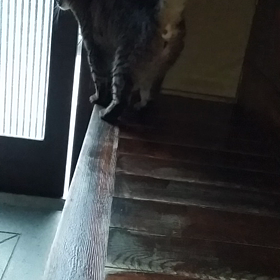 わかってるの画像