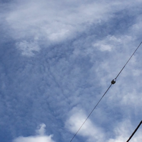 風の音。の画像