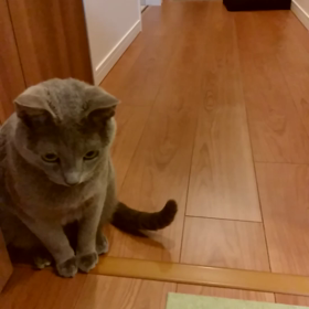 元気に戻った♪の画像