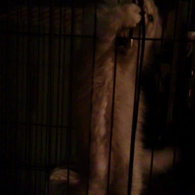 真夜中のの画像