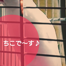 愛情いっぱい(’-’*)♪の画像