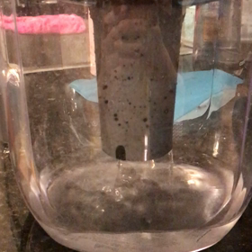 ブリタ交換も忘れずに！の画像