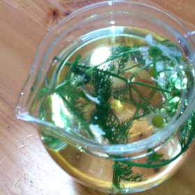 日本一小さな畑通信の画像