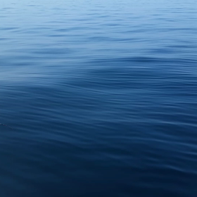 伊達丸さん見てますか？の画像