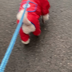 〇〇した後は動きませんの画像