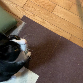 モテる幸せの画像