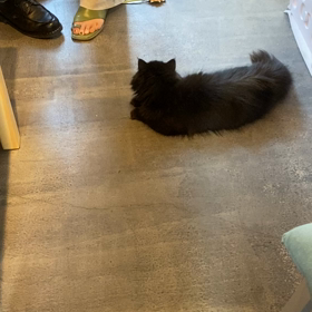 299 cafeの画像