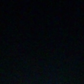 あっという間の夏でしたが・・・・・の画像