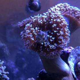 ゆらゆら♪の画像