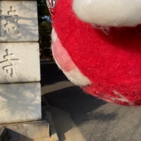 豪徳寺参拝の画像