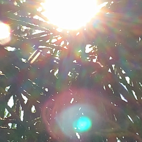 お久しぶりです♡の画像