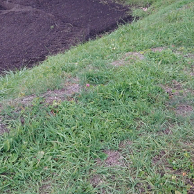 雪です！！の画像