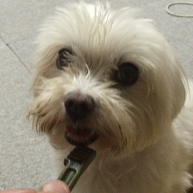 食べないもん！の画像